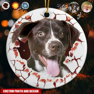 Custom Photo Dog Cat Breaking Through Ornament - Personalized Circle Ceramic Ornament